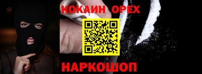 прущие грибы Кандалакша