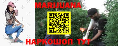 прущие грибы Кандалакша