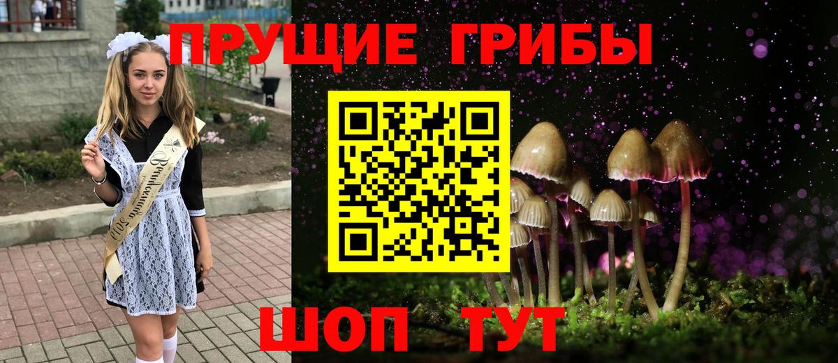 Псилоцибиновые грибы Psilocybine cubensis  Вход с VPN  Бугуруслан 